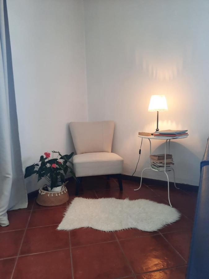 Casa das Camélias Aveiro Extérieur photo